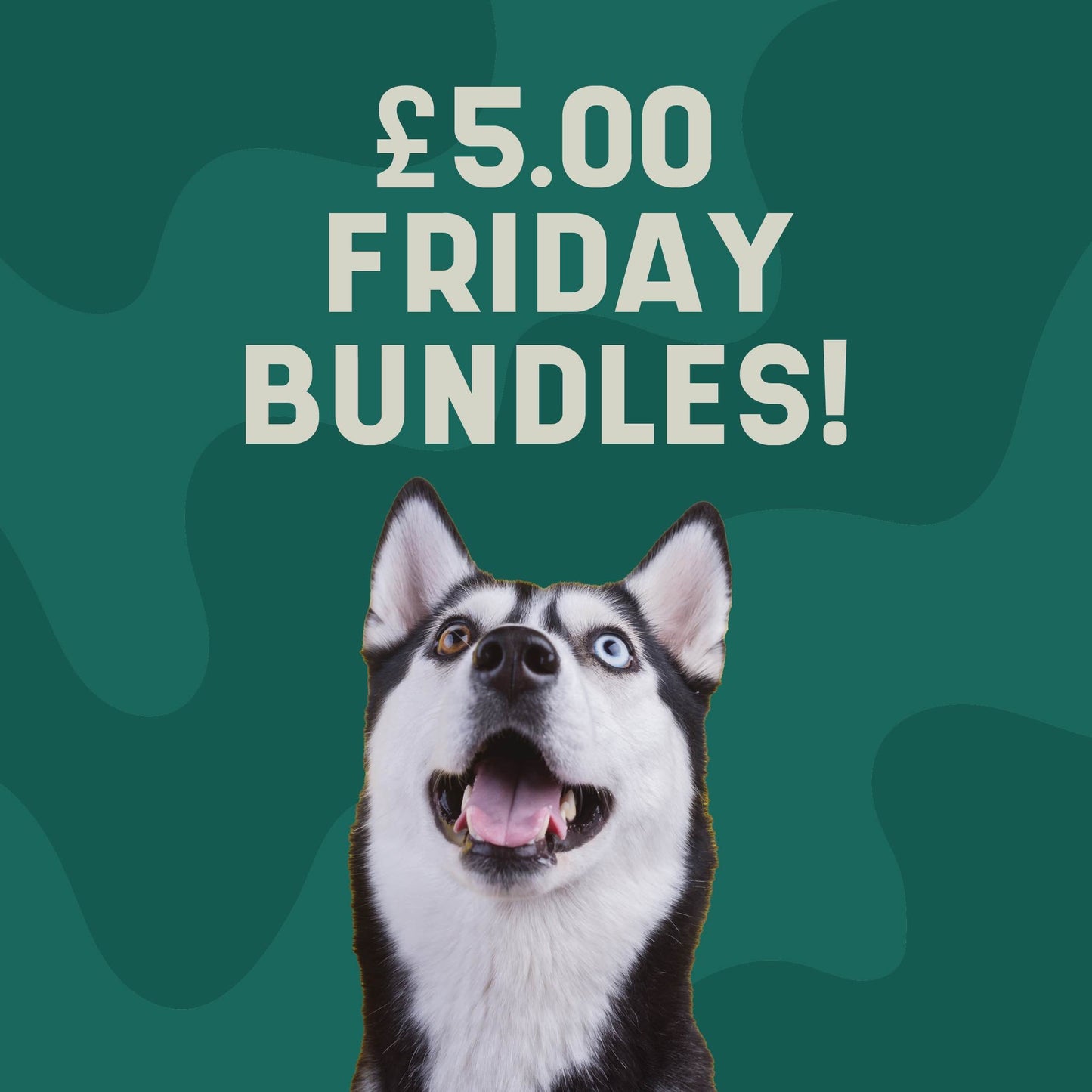 Fiver Friday Bundle 10