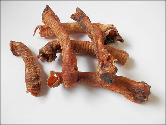 Lamb Trachea