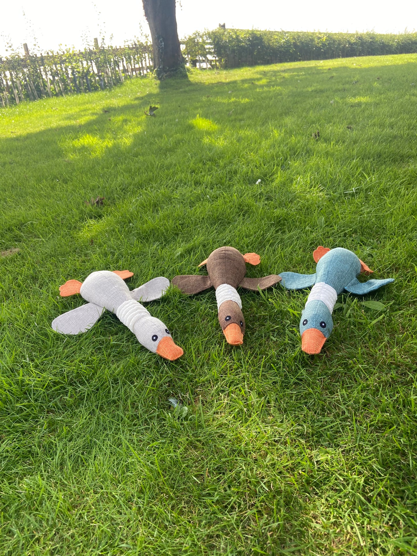 Duck Toy