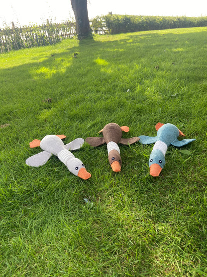 Duck Toy