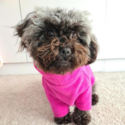 Valiant Dog Jumper Fuchsia Pink