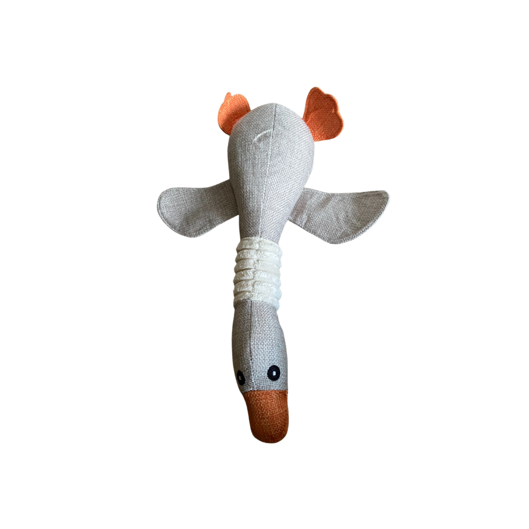 Duck Toy