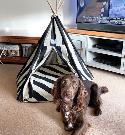 Luxury Pet Teepee - Black and White Stripe