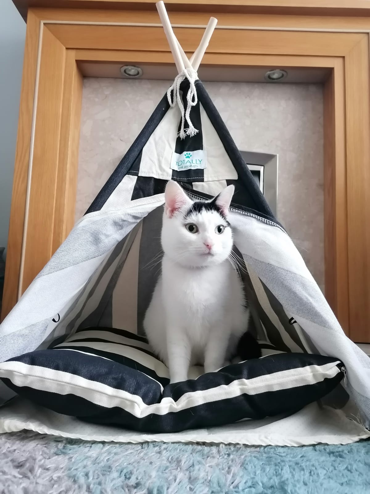 Luxury Pet Teepee - Black and White Stripe