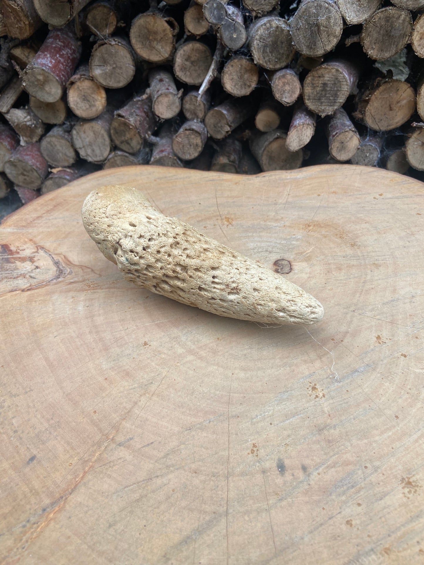 Anco Naturals Cow Horn Marrow