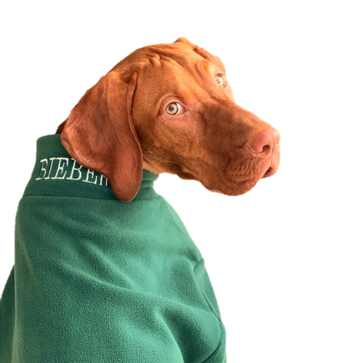 Valiant Dog Jumper Green