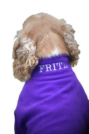 Valiant Dog Jumper Purple