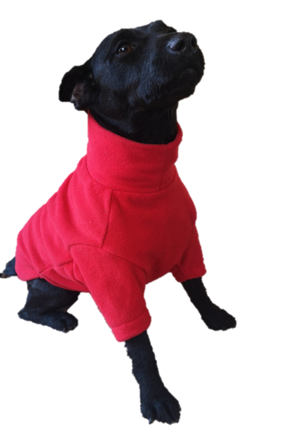 Valiant Dog Jumper Red